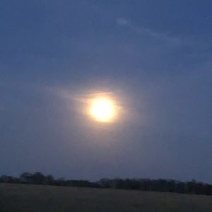 Meet your Posher, Libby